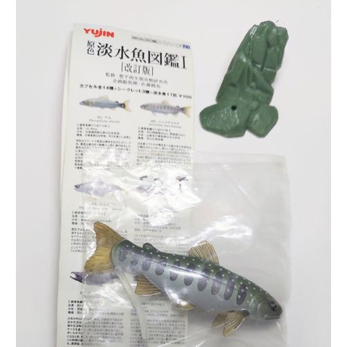 Yujin 原色淡水魚圖鑑 1 改訂版 鮭魚 日光白點鮭