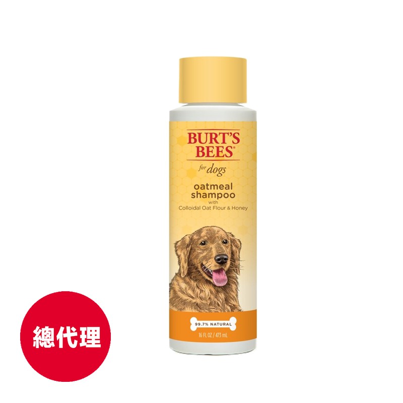 【Burt’s Bees小蜜蜂爺爺】蜂蜜燕麥沐浴露473ml(2024.11月到期)