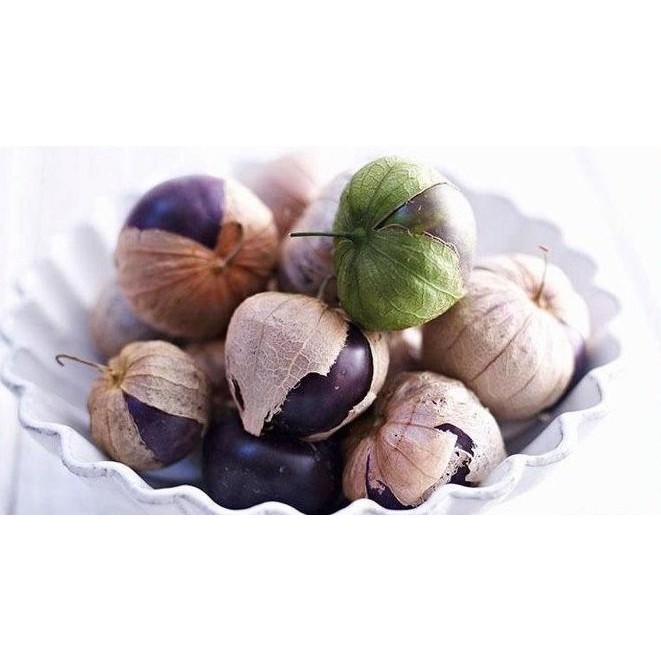 大包裝蔬菜種子l129 紫燈籠果 又叫做紫酸漿果 成熟時果皮是紫青色 紫色 黃色 有一種芳香味道 蝦皮購物