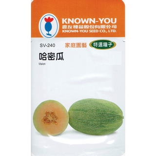 種子王國 哈密瓜 Melon (sv-240) 【蔬菜種子】農友種苗特選種子 每包約10粒 俗稱新疆哈密瓜