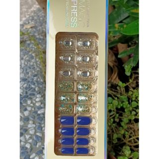 全新正品 Dashing DIVA光療美甲片brilliant MPR-264PR
