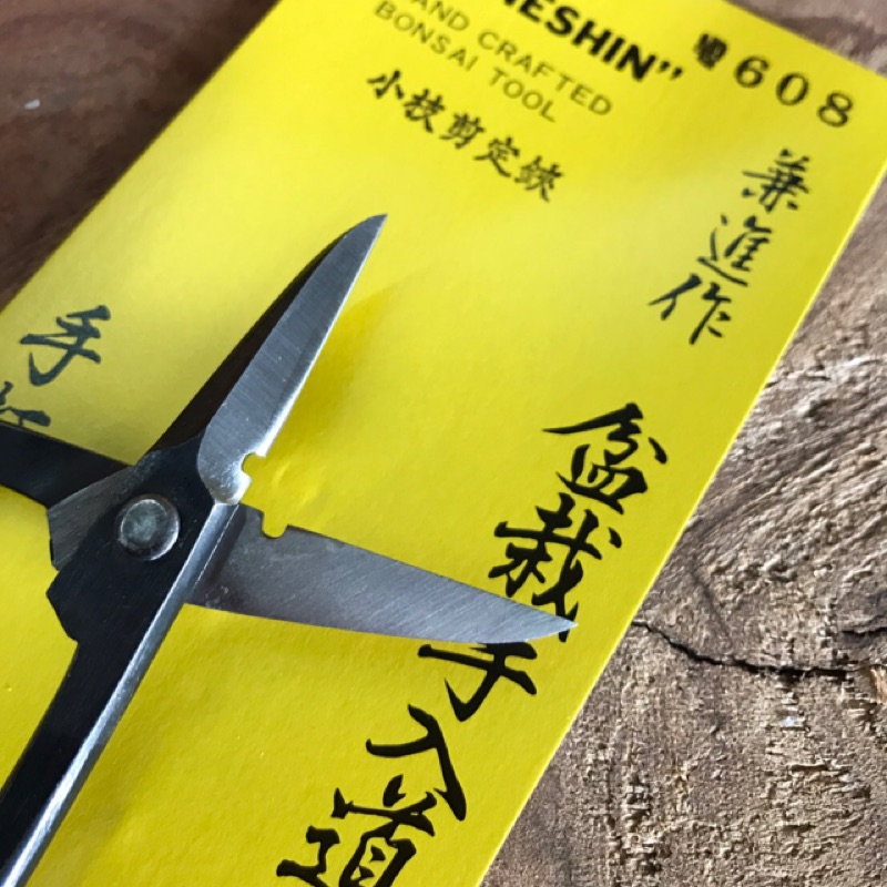 日本小枝的價格推薦第8 頁 21年1月 比價比個夠biggo