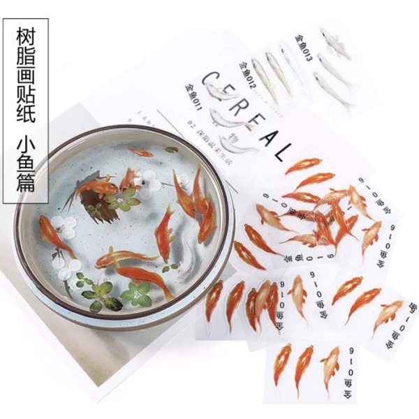 人氣推薦商品與線上折扣優惠 Rs花藝禮坊 不凋花 永生花 乾燥花 蝦皮台灣