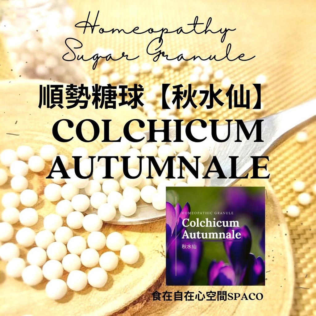 順勢糖球【秋水仙●Colchicum Autumnale】Homeopathic Granule 9克 食在自在心空間