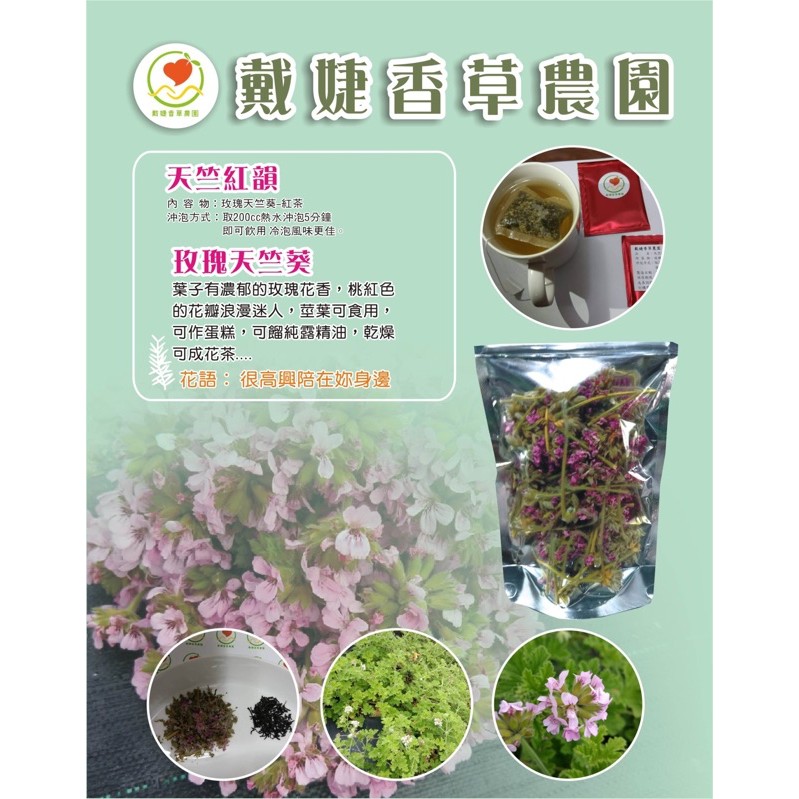 戴婕香草農園 天竺紅韻 蝦皮購物