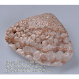 《※精品水晶※》能量至寶 - 頂級龍宮舍利墜 C220229