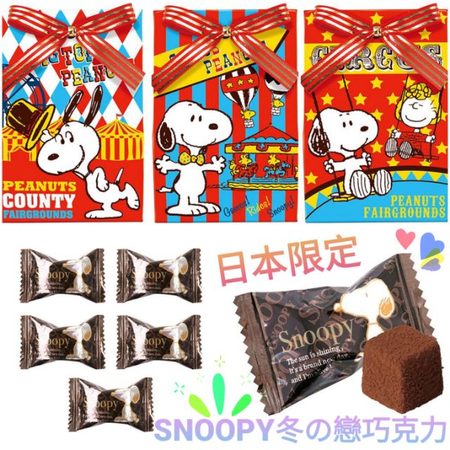 現貨💙 日本限定 SNOOPY 史努比 冬の戀巧克力 冬之戀 巧克力 PEANUTS 零食 糖果 日本代購 禮物 禮盒
