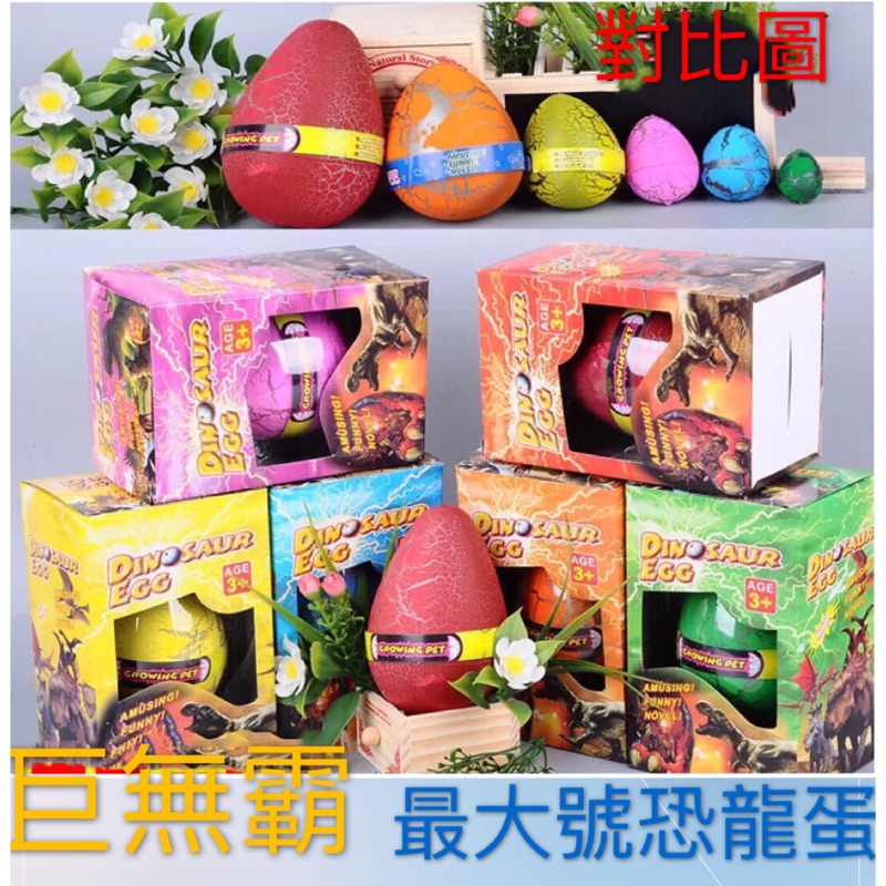 最大號恐龍蛋 12cm裂紋復活節彩蛋 恐龍蛋 孵化 泡水膨脹玩具