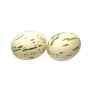 雪球甜瓜種子~~Snowball Melon，稀有品種，不可思議的花紋