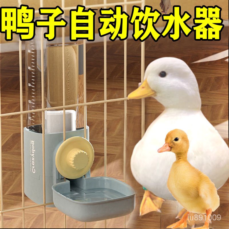 優選好物 鴨子自動飲水器柯爾鴨水壺寵物小鴨子餵水器喝水盆碗小鷄的專用品 DPEZ