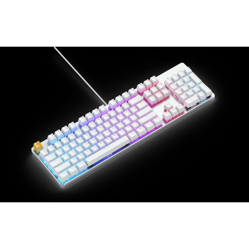 Glorious GMMK 100% RGB機械式鍵盤 熱插拔 茶軸 白色英文鍵帽
