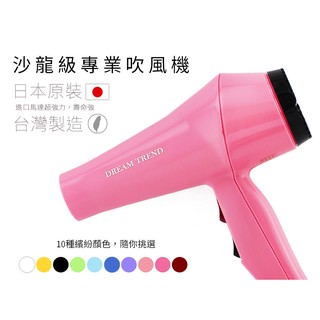 DREAM TREND 凱夢 二代專業兩段式吹風機 DT-2800 台灣製造 原廠保固【DT STORE】【AE015】