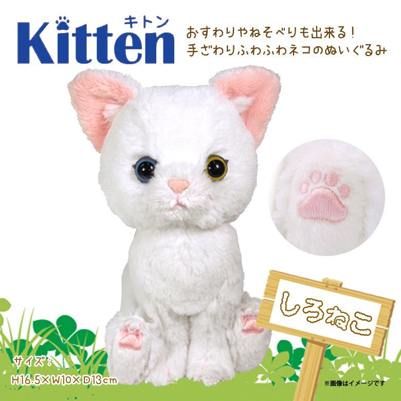 【現貨🌷】Sunlemon 異色瞳 白貓 玩偶 擬真 日本進口 Kitten 貓咪 坐姿娃娃 拍照 療癒 交換禮物