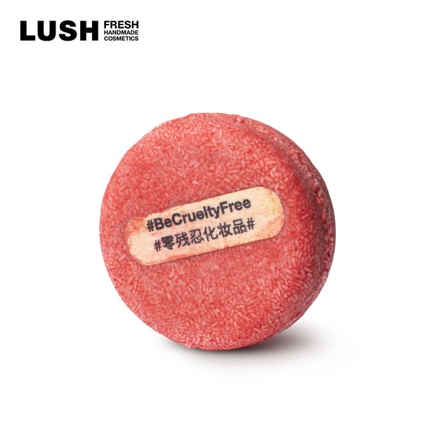 「日本島內販售版 現貨在台」英國 LUSH 日本原裝 洗髮餅 洗髮皂 小紅帽/肉桂香 跳躍杜松/薰衣草 摩洛哥堅果 焦