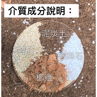 【隔日到貨】觀葉植物介質土 高溫殺菌不長蟲 觀葉植物 蔓綠絨 龜背芋 天南星 火鶴 花蠋 天南星 斑葉植物 雨林植物