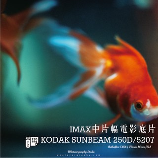 《中片幅電影底片》Kodak Sunbeam 250D/5207