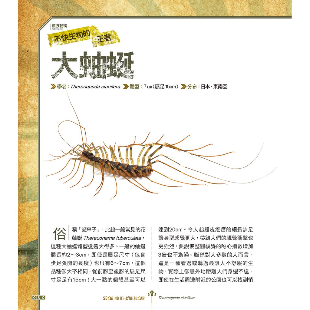 美日文本 世界奇蟲圖鑑 怪模怪樣怪可愛 蝦皮購物