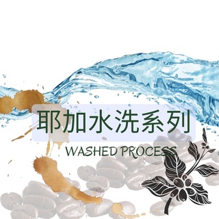 咖啡豆 耶加水洗系列 精品咖啡 手沖咖啡 黑咖啡 (兩個兩咖啡)