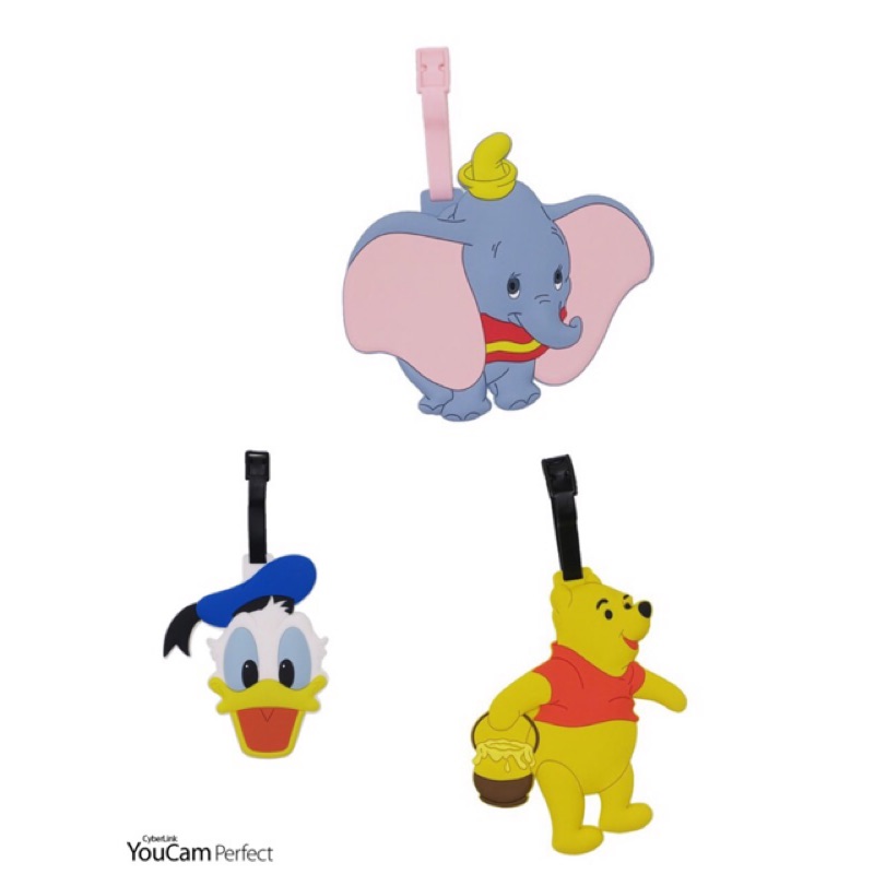 686愛代購～日本迪士尼正版授權 小熊維尼 小飛象 唐老鴨 維尼 行李吊牌