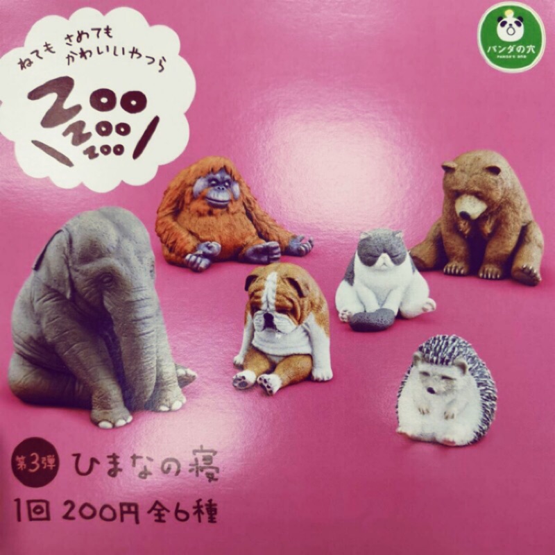 睡眠系列 休眠動物扭蛋 zoo 棕熊 大象 紅毛猩猩 刺蝟 鬥牛梗 貓