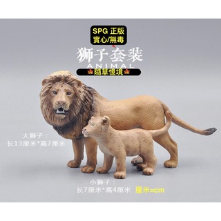 🍁 （全套2入）SPG 正版 親子 獅子 獅王 幼獅 猛獅 公獅 模擬 動物模型 野生動物 兒童玩具 益智 隨草憶境