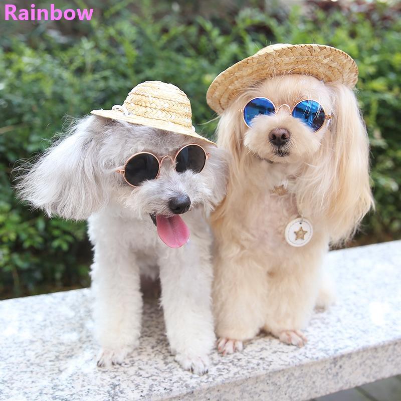 Rainbow 寵物小草帽狗狗帽子泰迪遮陽帽貓咪變裝頭飾中小型犬墨鏡太陽眼鏡 蝦皮購物
