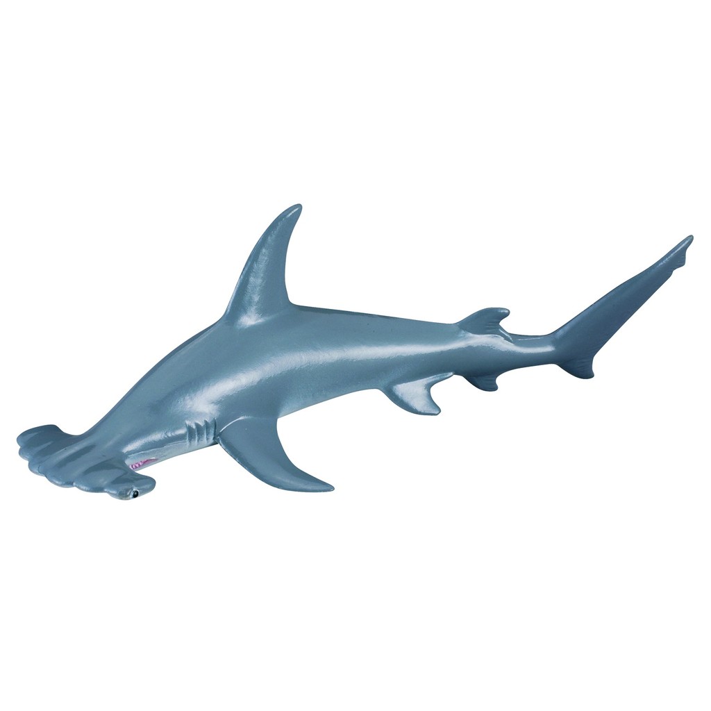 台中＊＊宏富玩具＊《 COLLECTA 》英國 Procon 動物模型  鎚頭鯊