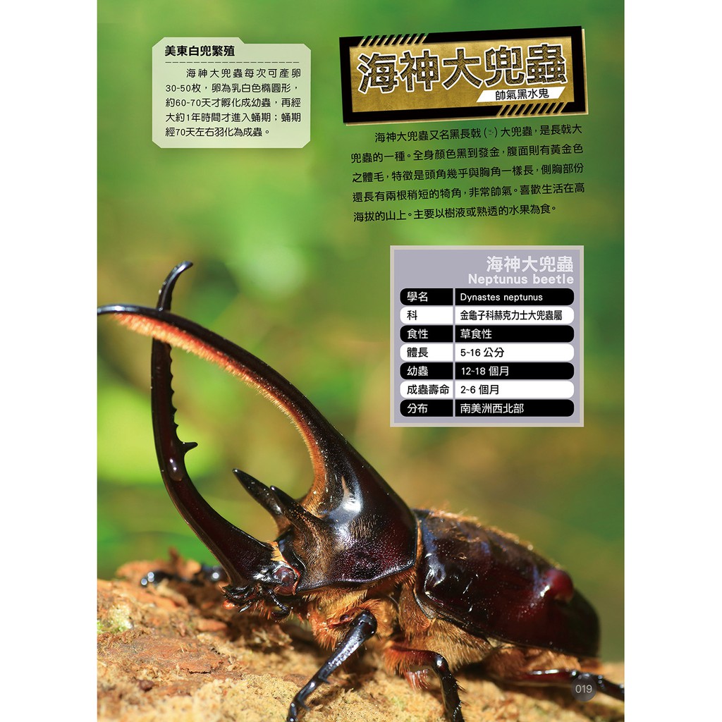 世界昆蟲動物圖鑑大百科 蝦皮購物