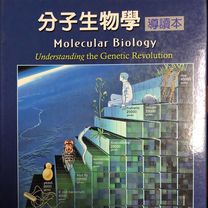 分子生物學導讀本 molecular biology