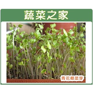 蔬菜之家滿額免運【00J03】大包裝J03.青花菜芽種子(青花椰菜芽、青花椰苗、芽菜種子、青花芽菜、3日苗、綠拿鐵)