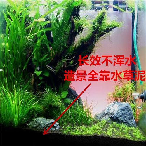 水草泥的價格推薦 22年3月 比價比個夠biggo