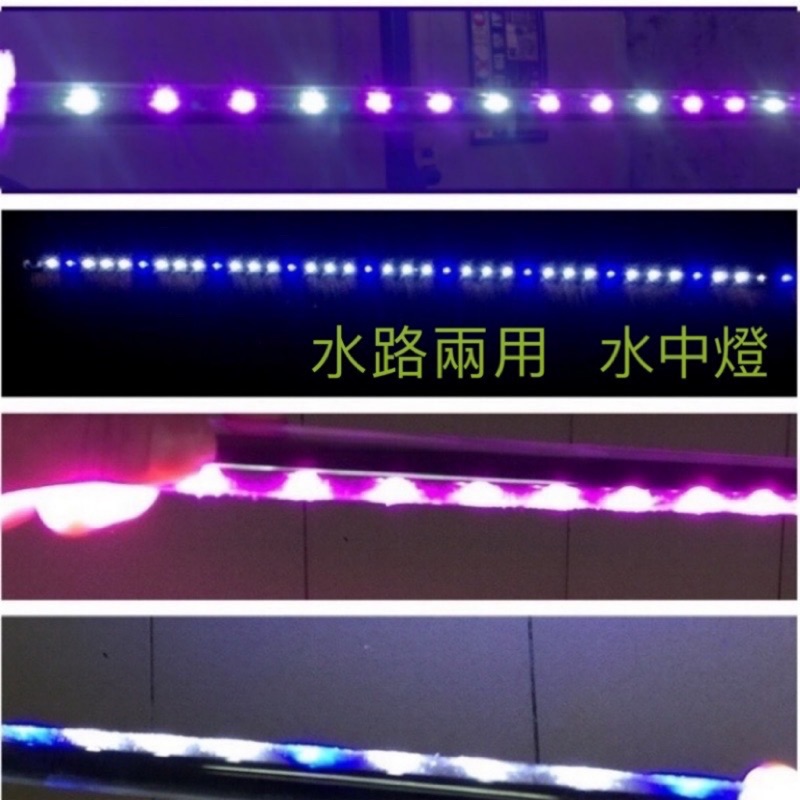 動力水族 水路兩用高演色性led 水中燈 紅魚不紅水紅龍燈金龍燈增豔燈側燈水中燈四呎四尺4呎4尺