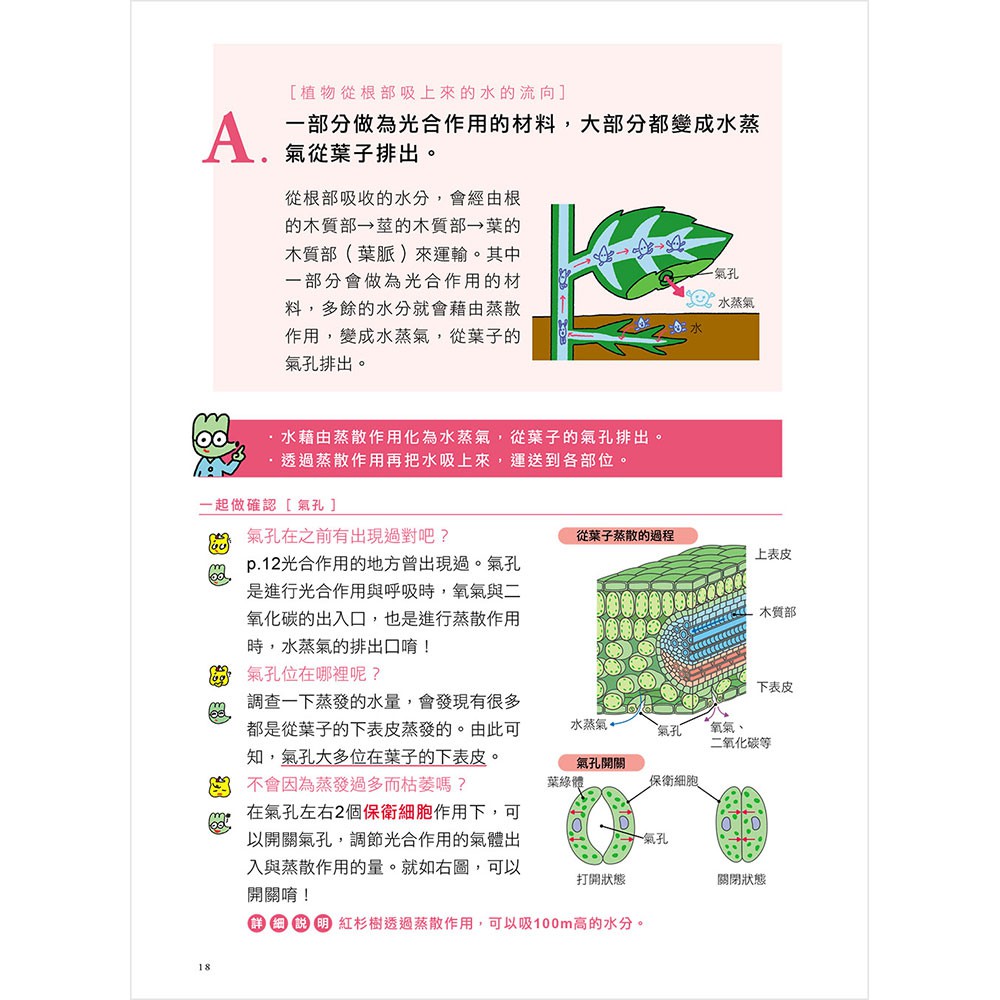 和平 神解 一點就通 中學理科拿高分 168幼福童書網 蝦皮購物