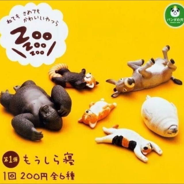 扭蛋 休眠動物系列 zoo zoo zoo 大象 浣熊
