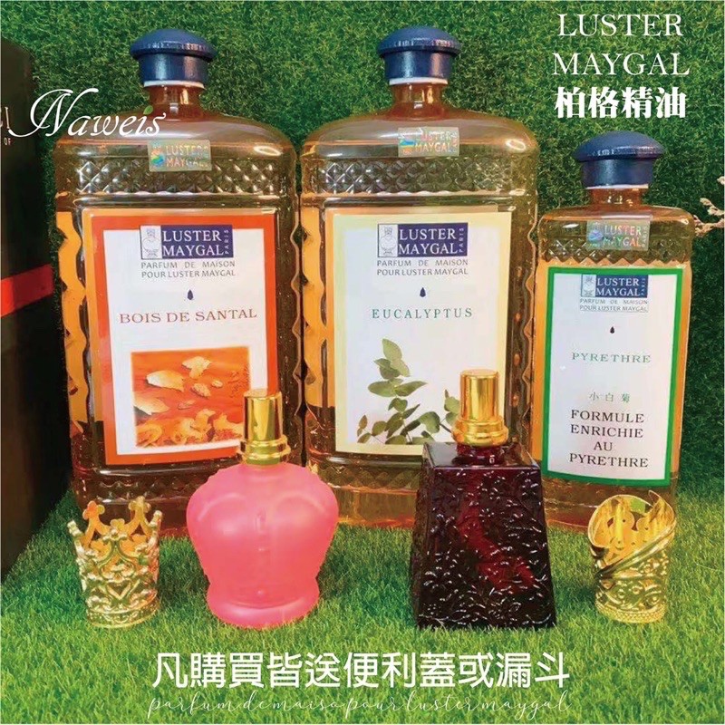 微美香氛 現貨免運優惠組 法國巴黎汽化式宜莉爾柏格精油2大1小優惠美格精油另售水氧機 精油防疫茶樹尤加利
