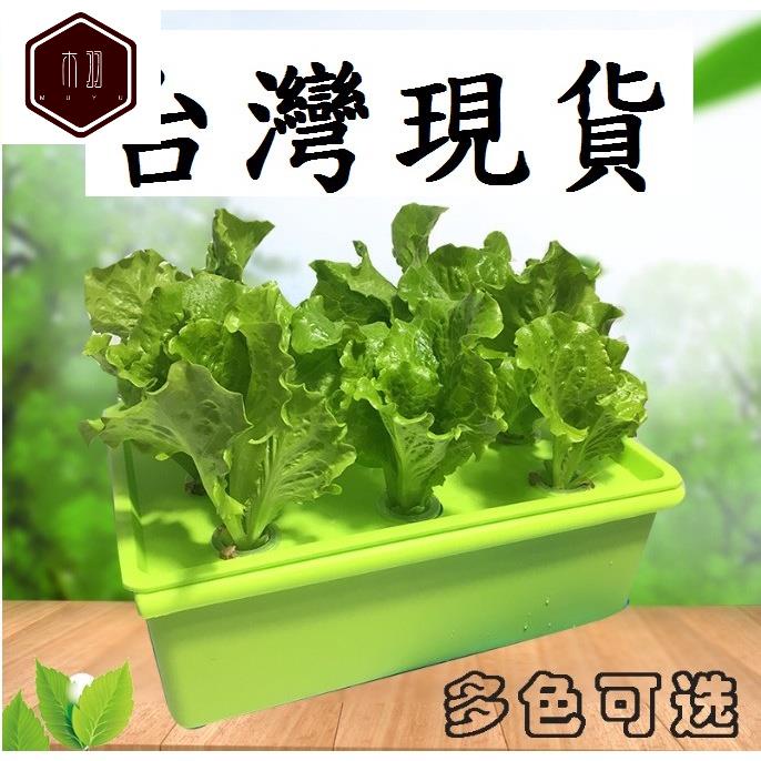 木羽百貨 水耕蔬菜水耕植物無土栽培栽培箱培養箱木羽 蝦皮購物