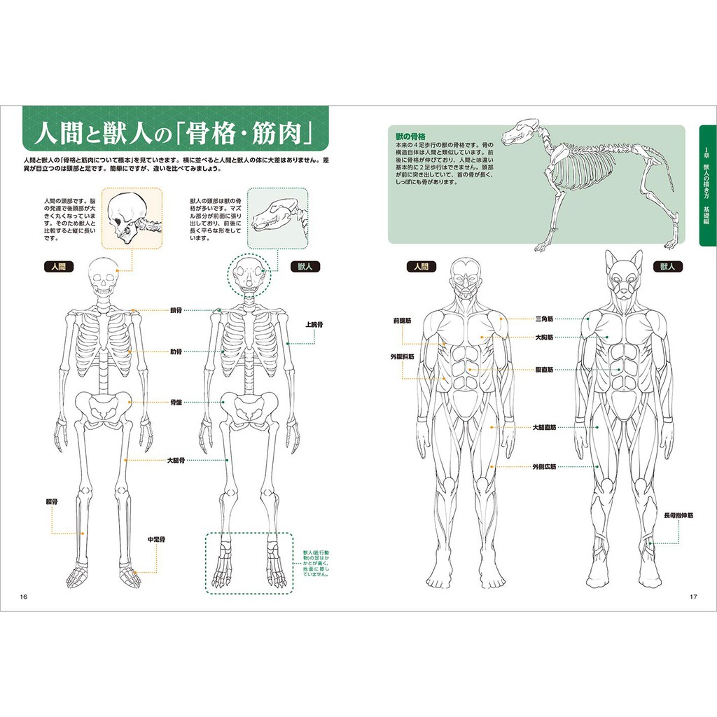 現貨供應中 獸人的描繪方法第二彈獸人姿勢集 蝦皮購物