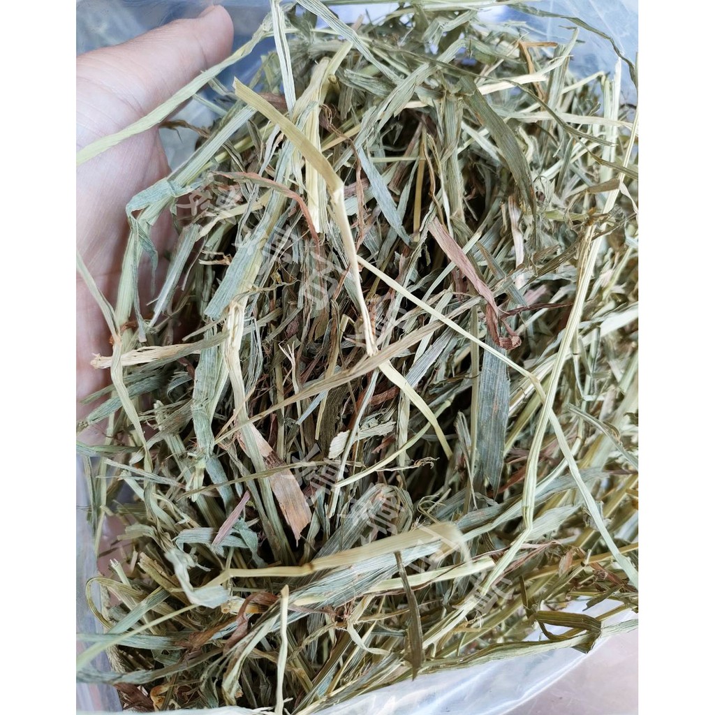 提摩西草【500g】二割 牧草 陸龜 龍貓 天竺鼠 鼠類 兔子 磨牙 蜥蜴 墊材 底材 婷婷百貨 金金水族