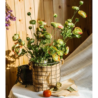 無印花器 比價撿便宜 優惠與推薦 22年8月