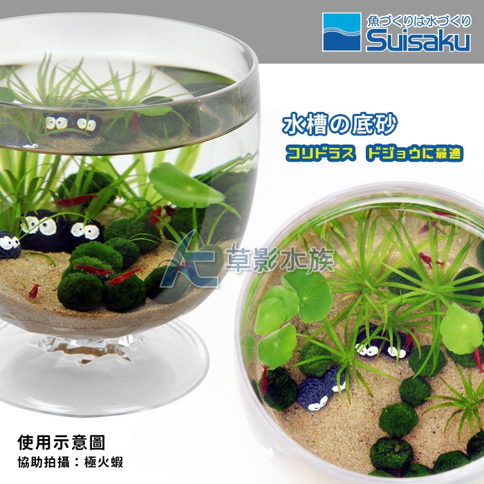 Ac草影 Suisaku 水作日本鼠魚專用川砂 2 4kg 一袋 鼠砂鼠沙熱帶雨林砂底棲魚砂魚缸底土 蝦皮購物