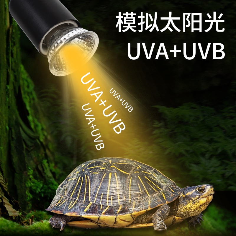 【有現貨*秒發】烏龜晒背燈加熱保溫燈uvb+uva太陽燈爬寵加熱龜缸燈保溫