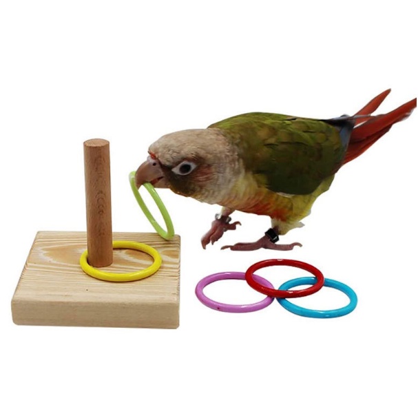 鸚鵡益智玩具 鸚鵡套圈圈玩具 訓練啃咬 互動玩具 木頭 套圈