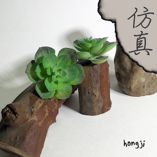 多肉 模擬多肉 微景觀 P88 假多肉植物 居家裝飾辦公室小物商店擺飾生日禮物拍照道具木頭底座咖啡屋盆栽