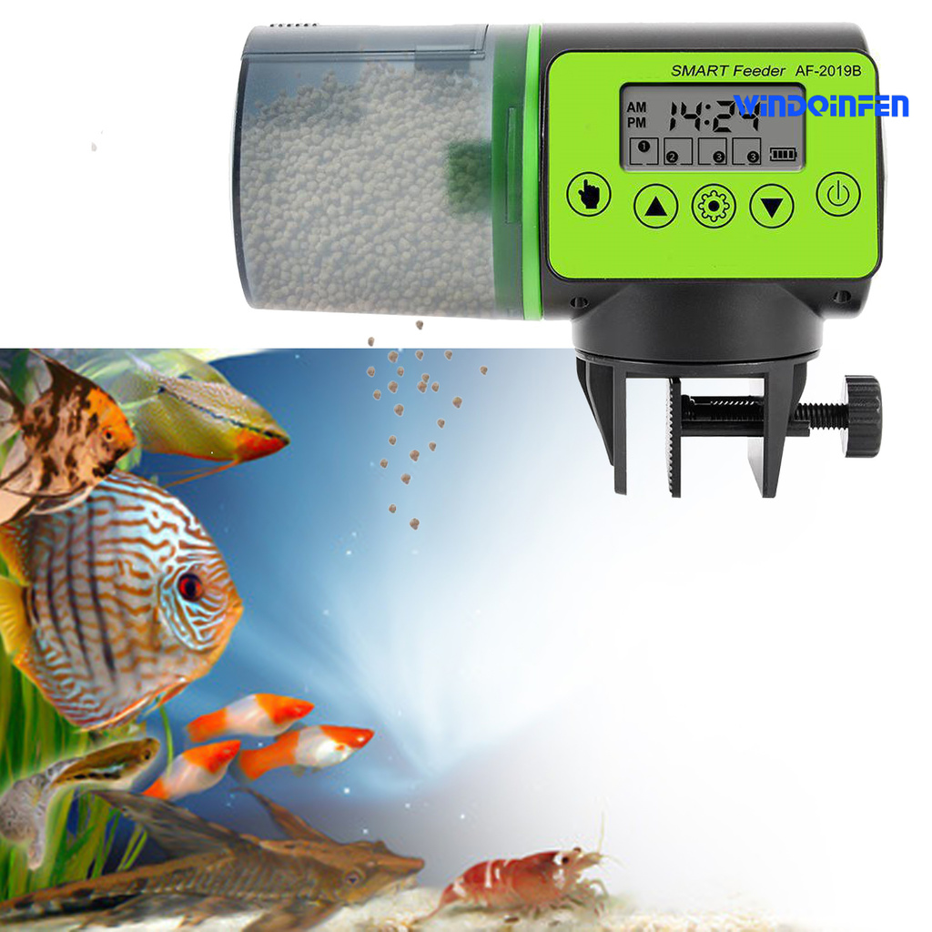 大容量自動餵魚器 拍賣 評價與ptt熱推商品 21年6月 飛比價格