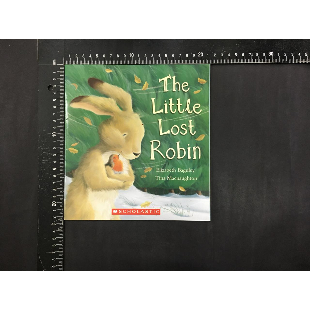 書酷二手英文童書 Little Lost Robin 英文繪本兒童英文英文故事書英文教具 蝦皮購物