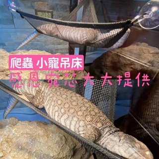 台灣現貨 赤玉土爬蟲底材睫角守宮豹紋守宮肥尾守宮豹紋底材高溫滅菌800度睫角r屬守宮專用巨人守宮 蝦皮購物