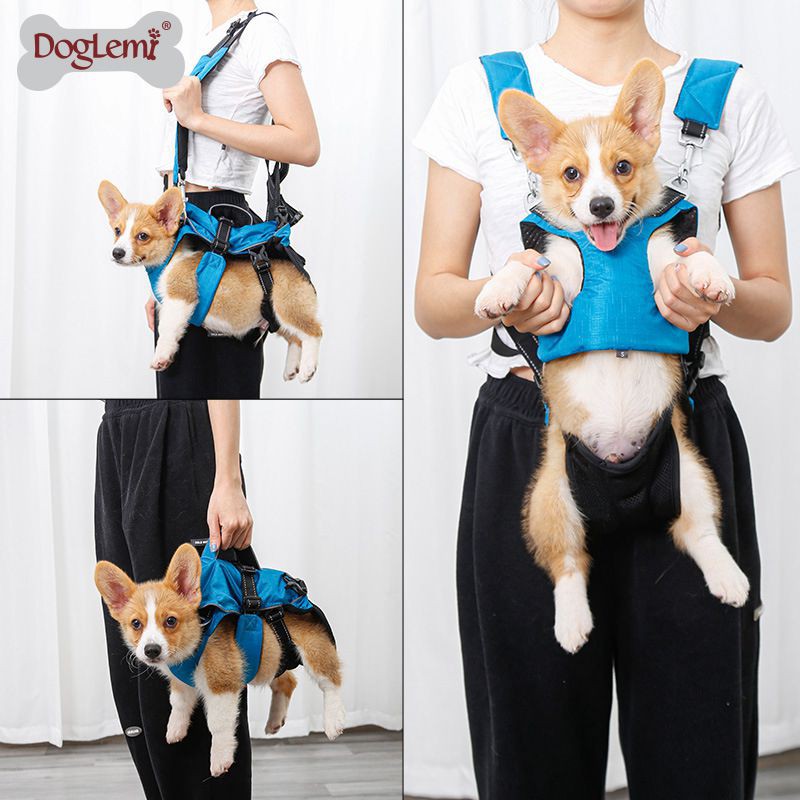 多功能寵物背包小型犬中型犬泰迪狗狗胸背帶外出手提單肩包3合1 蝦皮購物