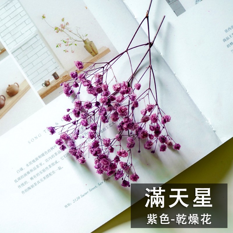 乾燥花滿天星整束永生花仿真花素材不凋花保鮮花人造花乾燥花材花藝設計婚禮佈置捧花裝飾花 蝦皮購物