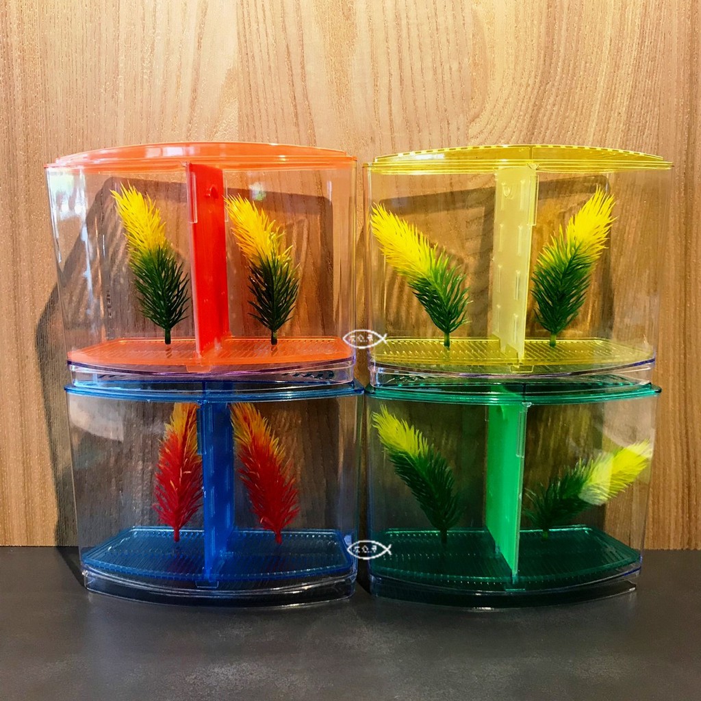 鬥魚飼育盒的價格推薦第2 頁 21年9月 比價比個夠biggo