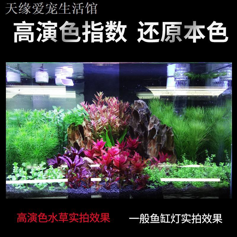 現貨熱銷 魚缸led燈水草燈防水燈板青苔爆藻小夜燈龍魚金魚專用暴曬苔上蓋 蝦皮購物